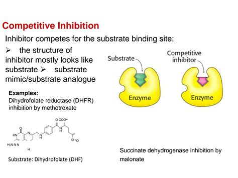 SOLUTION: Types of enzyme inhibition - Studypool