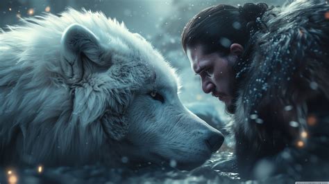 Nome Do Lobo Do Jon Snow - Direwolf of Jon Snow 4K UHD Wallpaper for UltraHD Desktop and TV ...