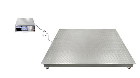 Dual Counting Scale CHANGZHOU NEWTON FORCE WEIGHING SYSTEM CO LTD