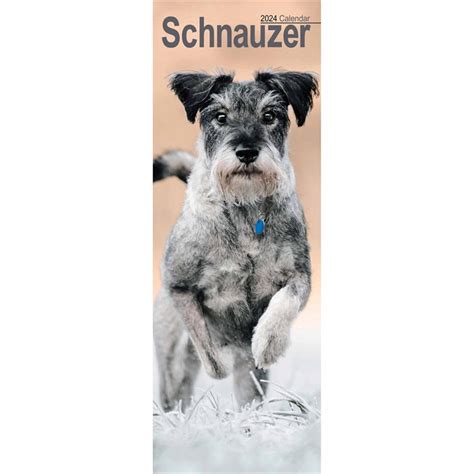 Schnauzer Slim Calendar Calendar Store