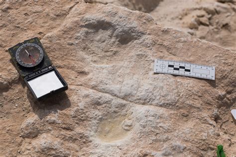 Oldest Footprints In Saudi Arabia Reveal Intriguing Step In Early Human