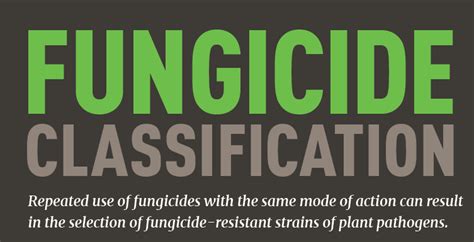 Fungicide Classification Chart Available North Carolina Soybeans