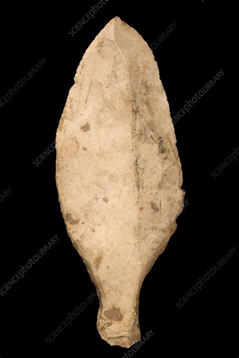 Neolithic spear tool - Stock Image - C056/9927 - Science Photo Library