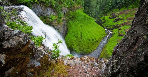 Best Camping in and Near Willamette National Forest