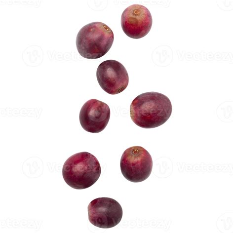 Grape Pngs For Free Download