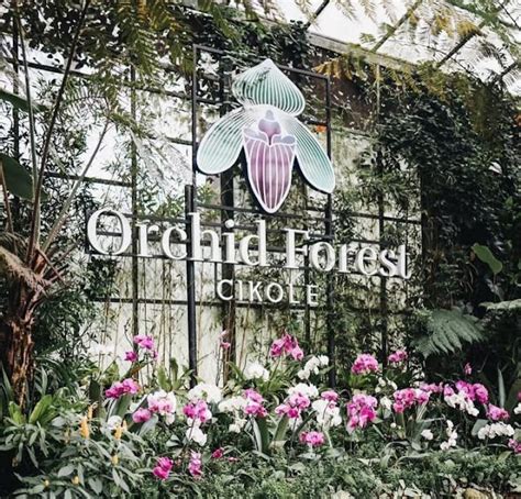 Orchid Forest Cikole Daya Tarik Fasilitas Dan Harga Tiket Masuk