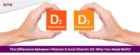 The Difference Between Vitamin D And Vitamin D3 Why You Need Both