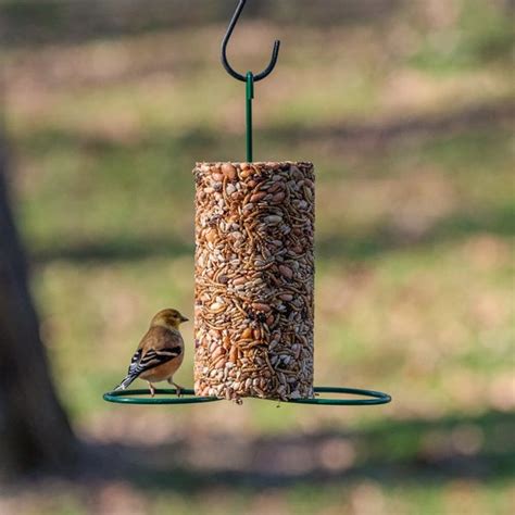 Bird Seed Feeder - Cylinder - PLENTY Mercantile & Venue