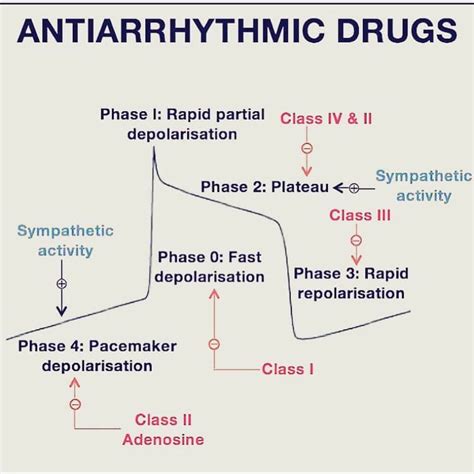 Antiarrhythmics Classification (Vaughan Williams) | Epomedicine