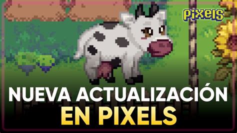 NUEVOS CAMBIOS Y CONTENIDO EN PIXELS YouTube