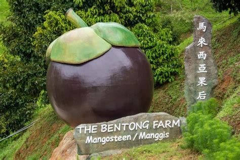 Pahang Bentong Farm Full Day Admission Ticket Getyourguide