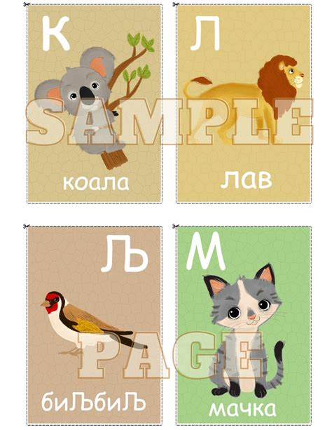 COLORFUL Macedonian Alphabet Flash Cards PDF Printable Digital Download ...