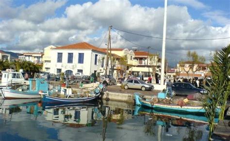 Ψηφιακή πλατφόρμα για ηλεκτρονικές πωλήσεις από τον Εμπορικό Σύλλογο ...