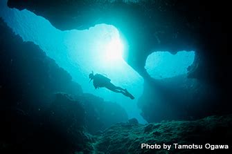 Diving in MIYAKO Island, OKINAWA | Marine Diving web