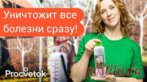 Первая и самая важная обработка сада весной от болезней! Вот чем лучше ...