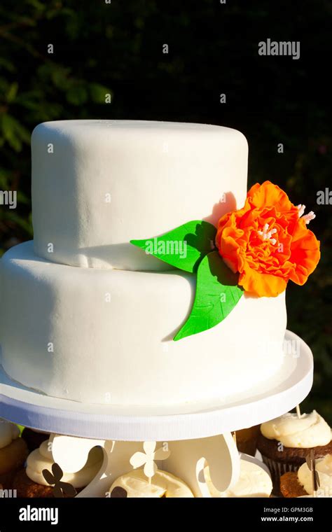 Simple White Wedding Cake Stock Photo - Alamy