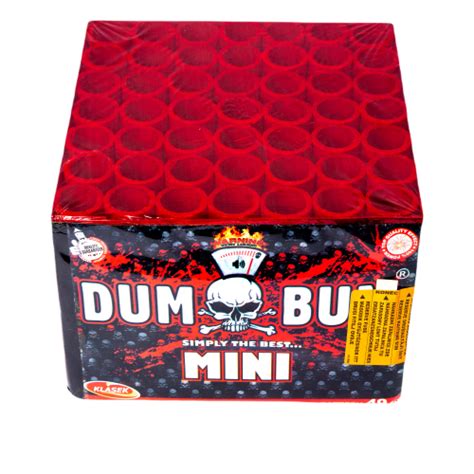 Dum Bum 1 49s C4925D INS Fireworks