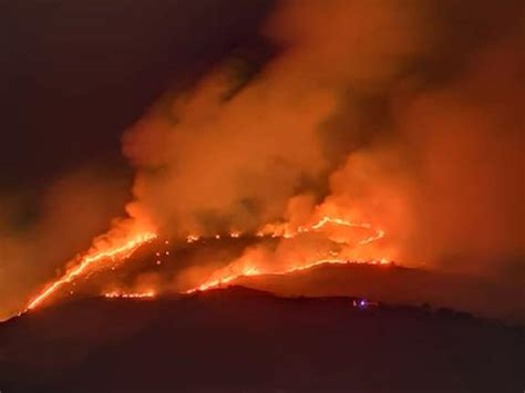 Ischia In Fiamme Il Monte Epomeo Bruciati Trenta Ettari Di Macchia