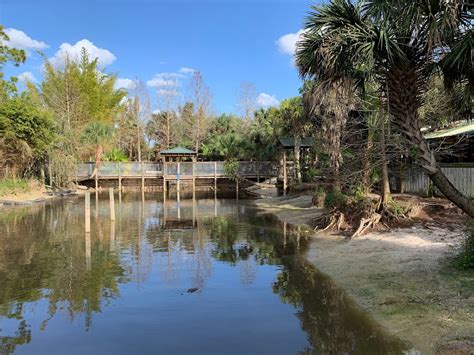 Wild Florida Drive-thru Safari Airboats & Wildlife Park - The Western ...