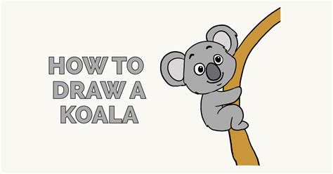 How to Draw a Koala - Really Easy Drawing Tutorial