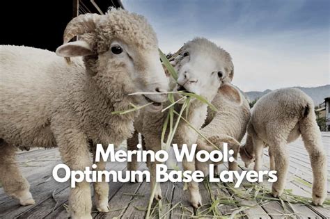 12 Reasons Why Merino Wool is the Best Base Layer For Hikes