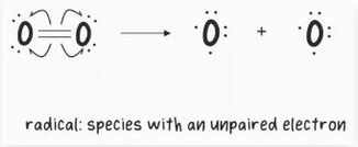 2019 Nov Chemistry Paper 2 TZ0 HL Detailed Solution