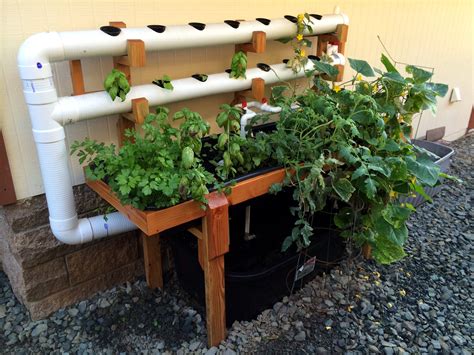 Simple Ebb And Flow Hydroponic System Yolande Hynes