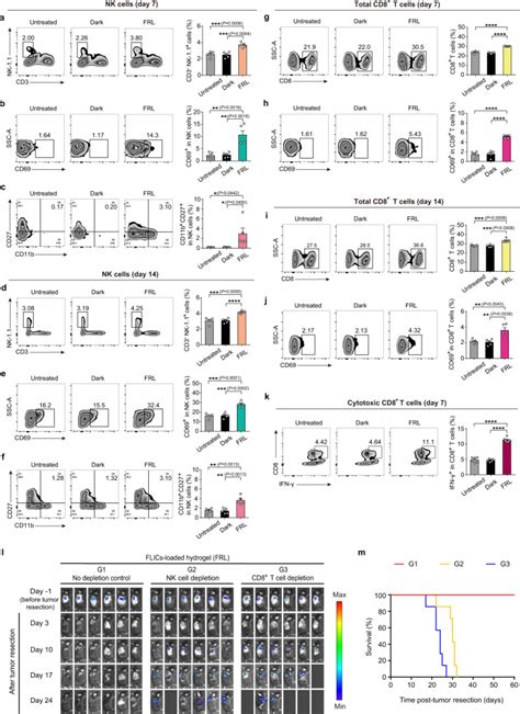 B F Cells Perkinelmer Bioz