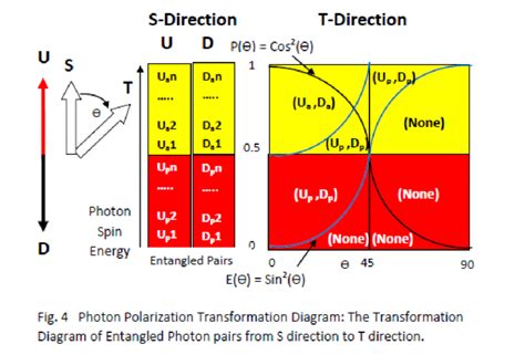 shows a detailed diagram of photon polarization transformation at a ...