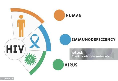 Vetores De Hiv Imunodeficiência Humana Acrônimo Conceito Médico De