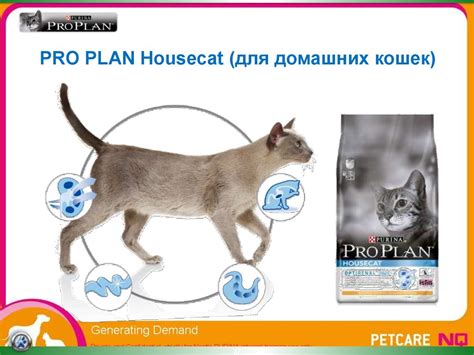 Nestlé Purina PetCare. Корма для кошек и собак - презентация онлайн