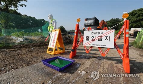 르포 꼼꼼하게 소독했는데 청주 구제역 발생 주변 농가 침울 나무뉴스