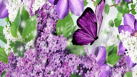 Animated Butterfly Wallpapers - Top Free Animated Butterfly Backgrounds - WallpaperAccess