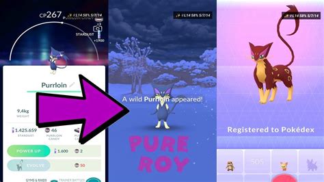 Pokemon Go Shiny Purrloin Wild Snow Catch Liepard Evolution YouTube