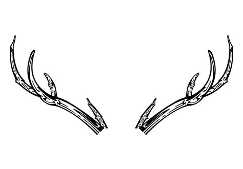 Deer Antlers Clipart Picture Clipartworld