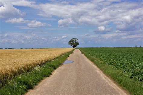 Free Images Landscape Tree Horizon Cloud Sky Field Farm Meadow