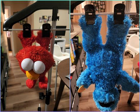 Steam cleaning Elmo and Cookie Monster can only happen after my