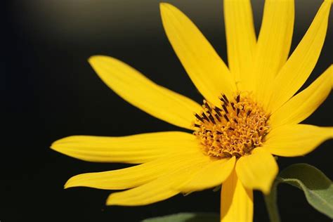 Equinoccio De Primavera Qu Es Y Qu Pasa En El Hemisferio Sur