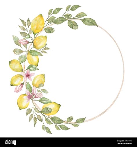 Hand Drawn Round Frame Of Watercolor Lemon Watercolor Illustration