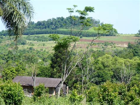 Foto: Vistas de El Soberbio. - El Soberbio (Misiones), Argentina