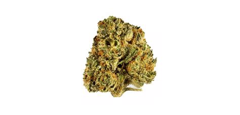 Mimosa Strain Review A Brunch Ready Pick Me Up