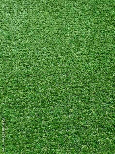 Green Grass Background Texture Green Lawn Texture Background Upper View Green Grass Field On