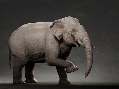 3d Animal Elephant Model Turbosquid 1685586