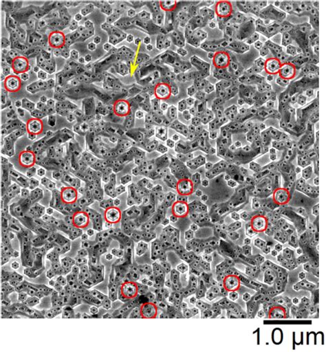 Sem Image Of The Defect Selectively Etched Region Of Figs B And