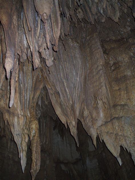 Mammoth Cave National Park information | The Enchanted Manor