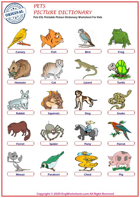 Pets Printable English Esl Vocabulary Worksheets Engworksheets