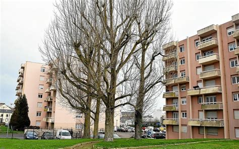 Meurtre Au Nouvel An à Saint Brieuc Quand La Drogue Fait Basculer La