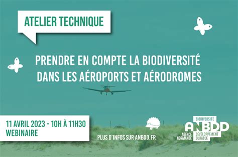 Webinaire Prendre En Compte La Biodiversit Dans Les A Roports Et