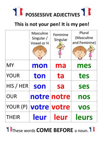 Possessive Adjectives Diagram Quizlet