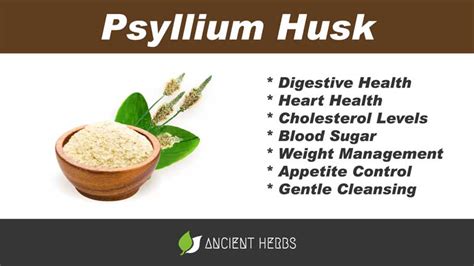 Psyllium Husk Benefits, Uses, Dosage & Side Effects